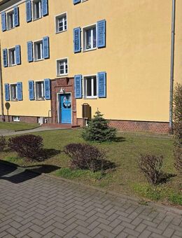 renovierte 2 Zimmerwohnung mit Garten - Wittenberg (Lutherstadt)