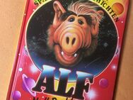 Die lustigen Alf Kinderbücher -neuwertig- - Bremen