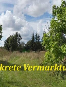 Einfamilienhaus mit Nebengelass vor den Toren der Halbinsel Fischland -Darß- Zingst - Barth