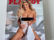 Playboy – Sweet Melody (Collectors Edition) 2025 - Dortmund Hombruch