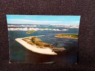 Postkarte-48-Insel Amrum -ungelaufen. - Nörvenich