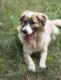 Aufgeschlossen + sozial = GOETHE ♥️ - München