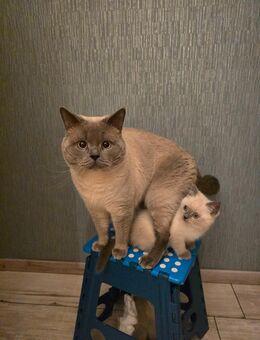 Letztes BKH Mädchen - Berlin Lichtenberg