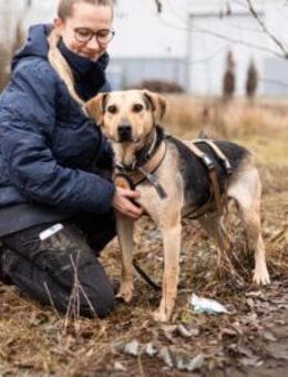 ehem. Straßenhund Elouan sucht dich - München