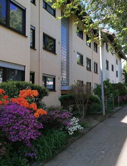 Schöne 2-Zimmerwohnung in Bad Bergzabern - Bad Bergzabern