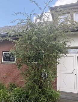 Einfamilienhaus mit großem Garten in Ostercappeln - Ostercappeln