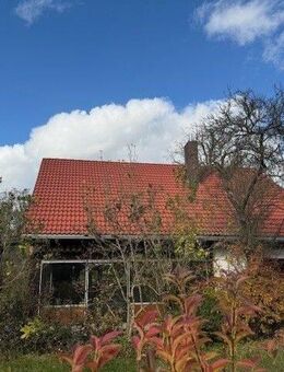 Super Lage! Einfamilienhaus mit Gartenparadies – viel Platz für Familie und mehr! - Winkelhaid