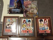 Fairy Tail Serien BlueRay - Wiesenthau