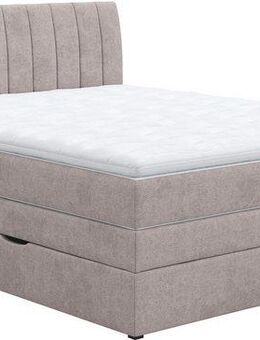 COTTA Boxspringbett Shark inkl. Bettkasten und Topper, erhältlich in den Breiten 140x200cm, 160x200cm und 180x200cm