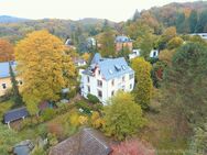 Ein Immobilienjuwel - Wohntraum in großzügiger Jugenstilvilla in Toplage Seeheim Jugenheim - Seeheim-Jugenheim