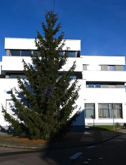 Attraktive 3-Zimmer-Wohnung mit zwei großen Balkonen und Einbauküche - Schwäbisch Gmünd