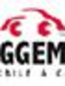 Verkaufsberater Reisemobile & Caravans (m/w/d) - Rheine