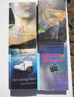 45 Bücher zusammen nur 5,- Jugendbücher Kinderbücher Sachbücher Humor - Flensburg