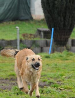 Tolle Jana im Saarland - Tholey