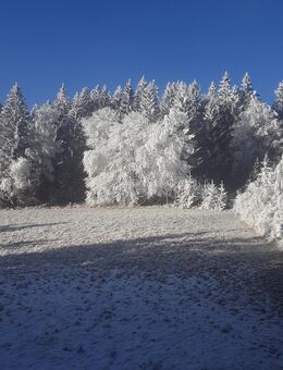 Abhärtungskurse jetzt - Erlangen