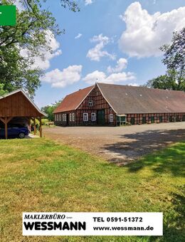 VERKAUFT! Hofstelle in Alleinlage auf ca. 15000 m² großem Grundstück in Schale / Nähe Freren - Hopsten