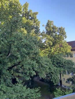 Charmante 2 Zimmerwohnung mit Balkon im grünen Herzen von Prenzlauer Berg - Berlin