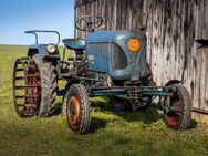 Lanz Bulldog Schlepper 1666 MWM Original Patina Rarität - Erbach (Hessen)