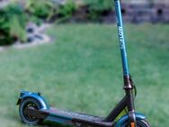 E-Scooter SoFlow S06 - Sinn
