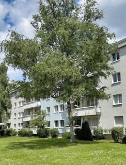 Helle, gut geschnittene 3-Zimmer-Wohnung mit perfekter Anbindung - Frankfurt (Main)