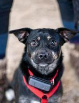 Snuggle - ist selbstbewusst - Löwenberger Land