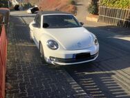 VW Beetle Cabrio original 9800km top Sonderedition Club - Bad Laasphe