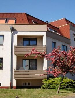 Charmantes Dachgeschoss-Appartement in Kassel-Wolfsanger - Kassel