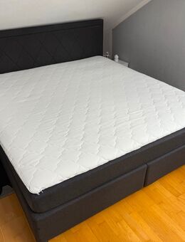 Boxspringbett - Olching Olching