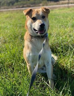 ein friedliebender Monty - Augsburg
