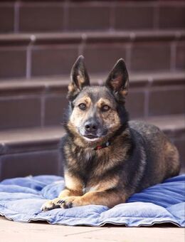 Wundervolle Eva sucht ihre Familie - Duisburg