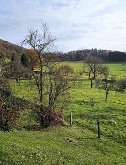 Wohnung (ideal als Ferienwohnung) mit sonniger Süd-Terrasse und herrlicher Aussicht - Simmerath