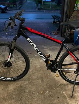 FOCUS Mountainbike XL - Top Zustand. Gepflegt mit Zubehör. - Holzminden