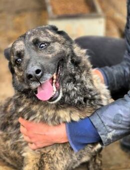 LADY LAYAN ~hat so Lust auf uns Menschen - Duisburg