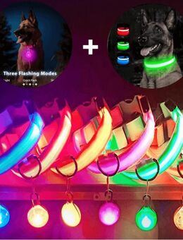 Leuchthalsband LED Hundehalsband Halsband Hund mit Anhänger USB Batterie - Oldenburg