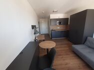 Exclusives möbliertes 1-Zi Apartment ab sofort zu vermieten Mögeldorf - Nürnberg