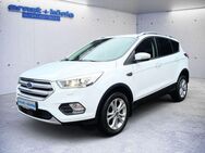 Ford Kuga 2.0 TDCi 4x4 Aut. Titanium - Freiburg (Breisgau)