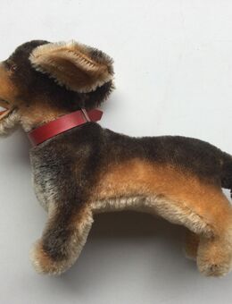 Steiff Original Vintage Sammler Plüschfigur Dackel Waldi mit Knopf Fahne - Fulda