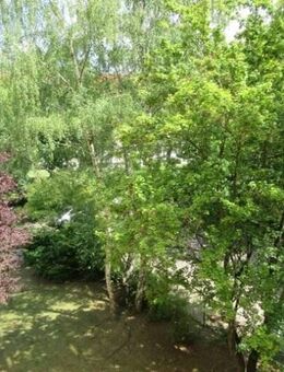 Schicke 1,5 Zimmerwohnung mit Balkon - Erlangen