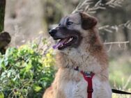 Penny- springt mit Dir ins Abenteuer! - Rostock