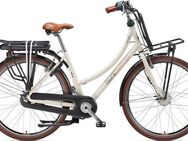 Telefunken E-Bike Cityrad Multitalent RT540, 7 Gang Shimano Nexus Schaltwerk, Nabenschaltung, Frontmotor, 468 Wh, Pedelec, Elektrofahrrad für Damen u. Herren