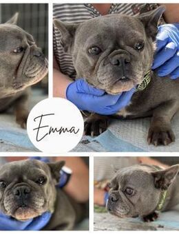 EMMA PP Mädchen sucht Geborgenheit - Neustadt (Rübenberge)