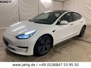 Tesla Model 3 Standard Range Plus Shanghai GlasdachKam - Steinbach-Hallenberg