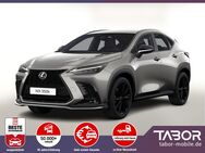 Lexus NX 350h, FSport eHk ° 20, Jahr 2024 - Freiburg (Breisgau)