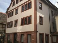 Mitten in Erbach - Historisches Gebäude mit 6 Wohnungen - Erbach (Hessen)