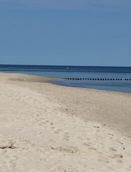 Ferienwohnung für 1 Person, Insel Usedom, barrierefrei - Heringsdorf (Mecklenburg-Vorpommern)