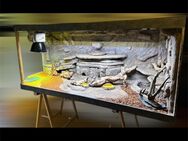 Wüsten Terrarium mit Fluval Lampe 180x75cm - Immendingen