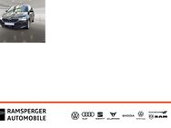 Skoda Fabia, 1.0 TSI Combi Ambition, Jahr 2019 - Kirchheim (Teck)