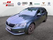 Skoda Octavia, 1.0 TSI Combi AAC, Jahr 2019 - Brandenburg (Havel)