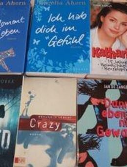Verschiedenes an Büchern ab 2 Euro - Bendorf (Rheinland-Pfalz)