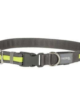 Kerbl Pet Light & Reflex Leuchtleine - 120 cm lang, 25 mm breit